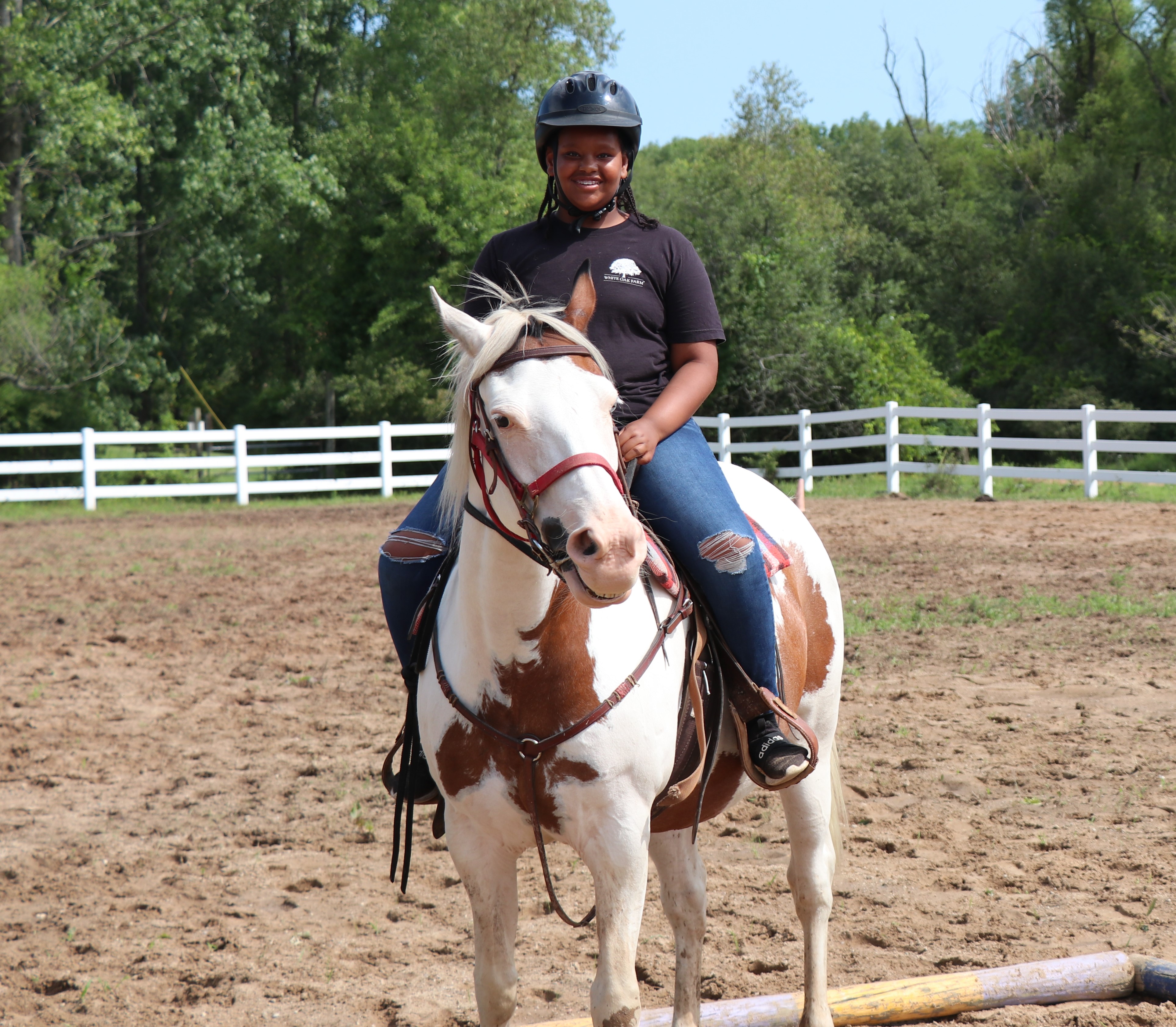 Horse Programs