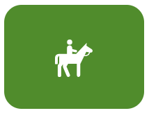 Trail Rides