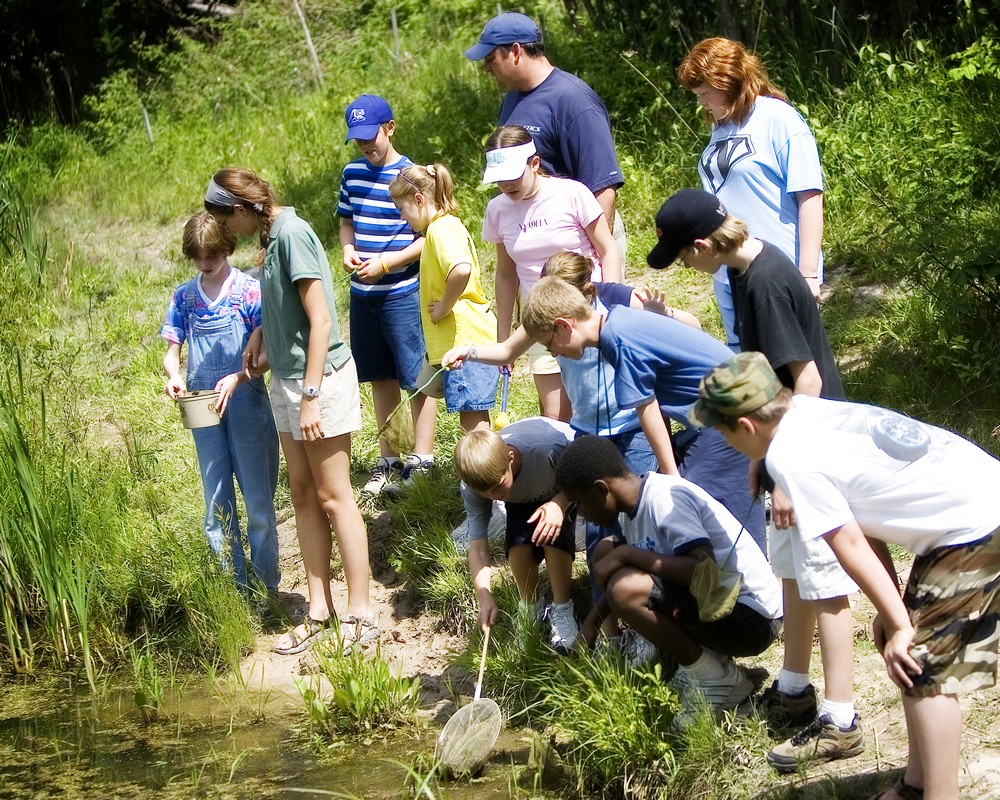 Environmental Education